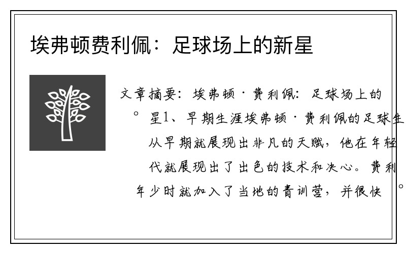 埃弗顿费利佩：足球场上的新星
