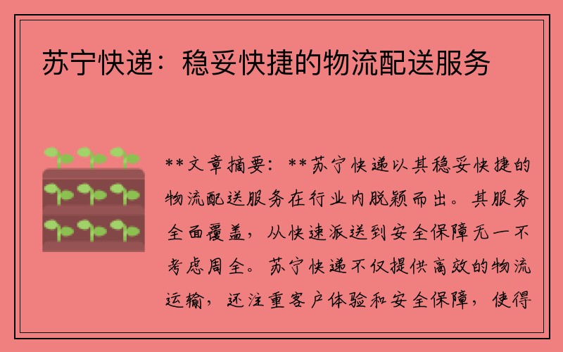 苏宁快递：稳妥快捷的物流配送服务